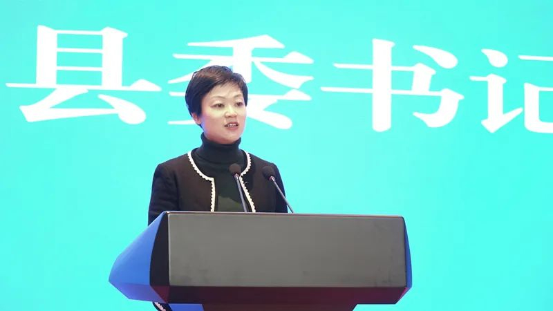 年产6万吨锂电池负极材料建设项目落地四川雅安芦山(图2)