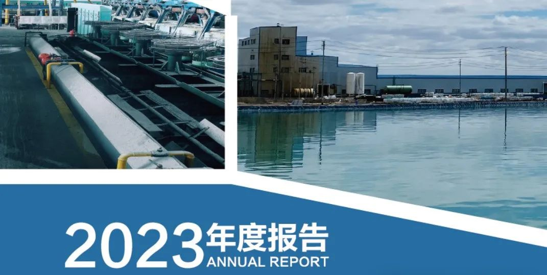 盐湖提锂：2023年藏格矿业碳酸锂毛利率80%！(图2)