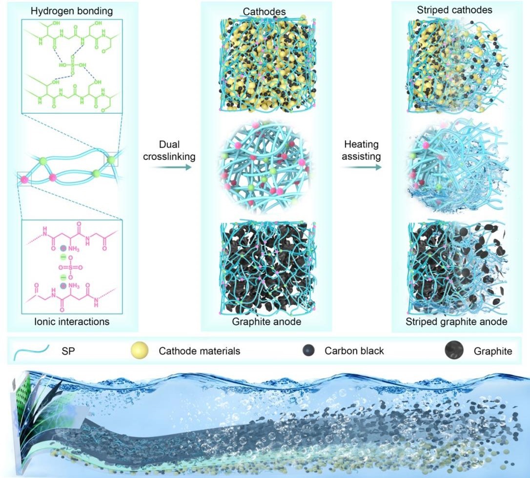 退役锂离子电池直接回收再利用研究获进展(图1) 退役锂离子电池直接回收再利用研究获进展(图1)